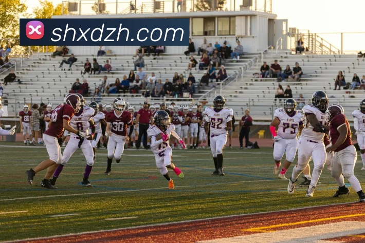 球赛押注app官网服务体系